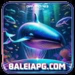 baleiapg Pro v4.5.5