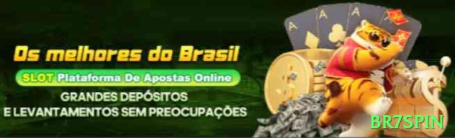 br7spin Brasil Premium v1.9.8 Screenshot 1