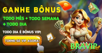 bravip Bonus Max v1.2.7 Screenshot 2